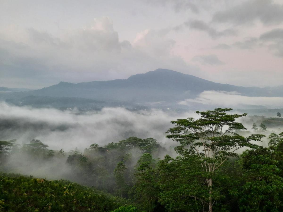 Terrace Cinnamon View Ratnapura Exterior photo
